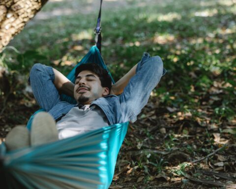 relaxed bearded man resting in hammock